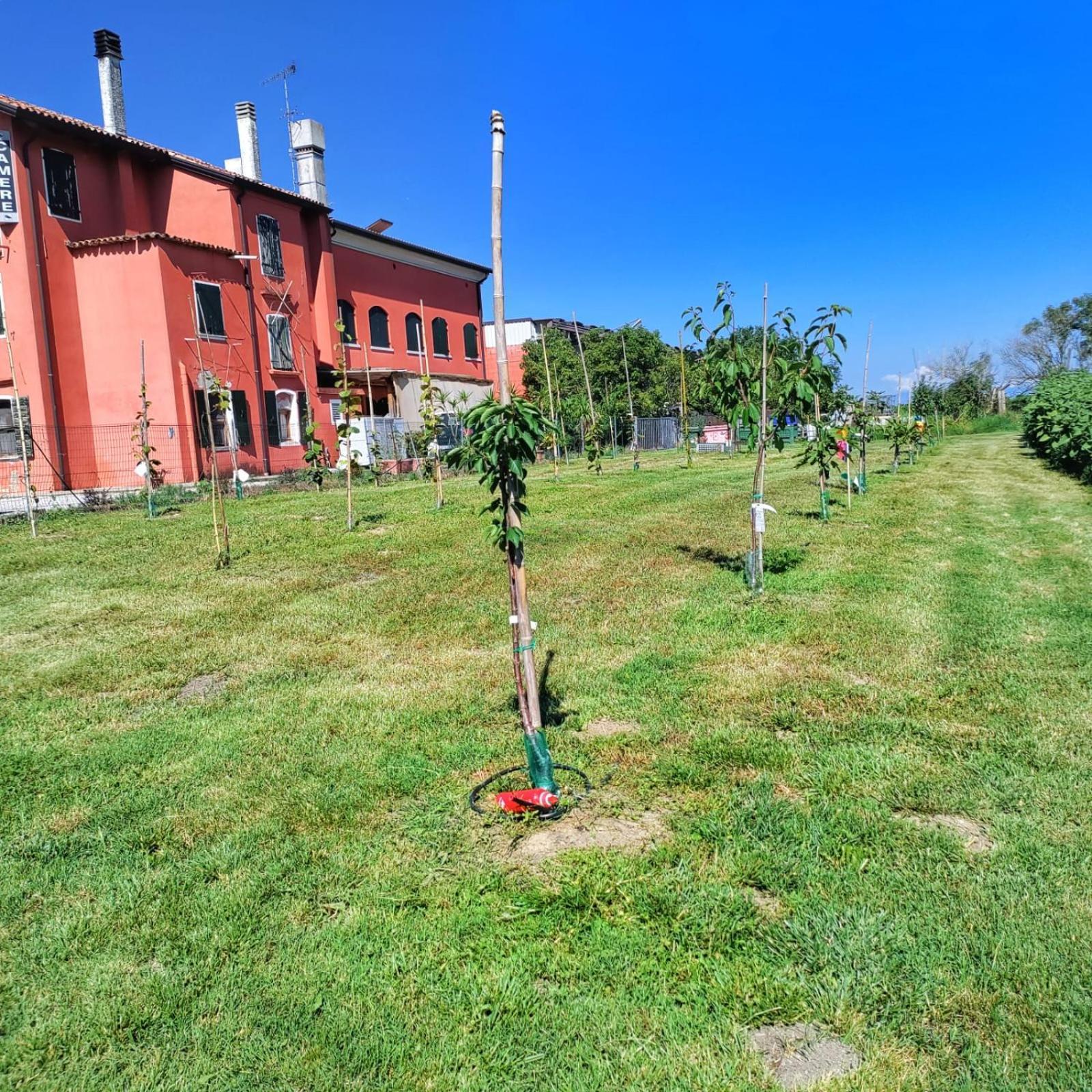 Quadrifoglio Relax Guest House San Donà di Piave Eksteriør bilde